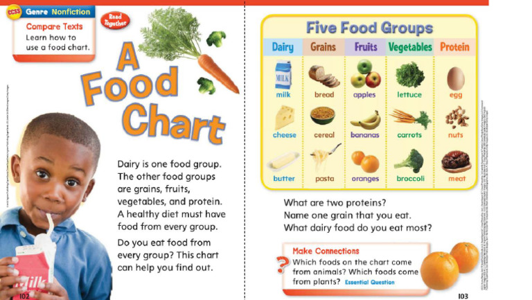 A Food Chart | PDF
