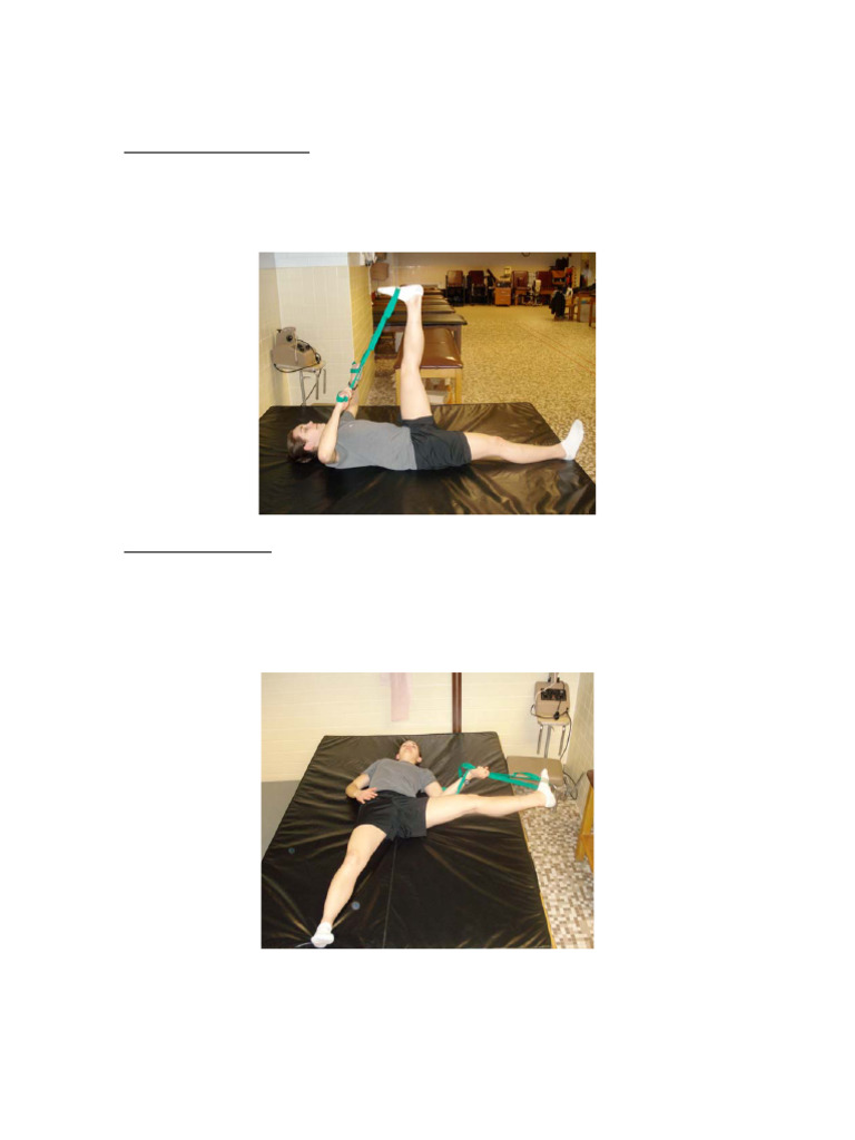 Cord Flexibility Stretching Routine | PDF