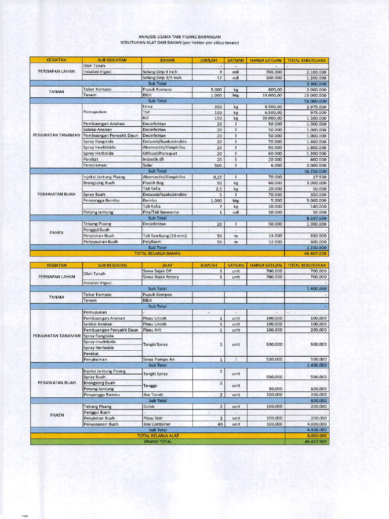 Pisang Barangan | PDF
