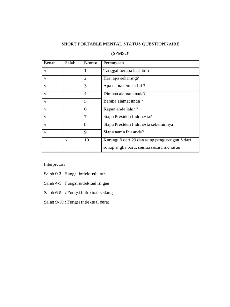 Pengkajian SPMSQ Pasien Ny S | PDF