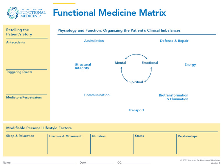 Functional Medicine Matrix Overview | PDF