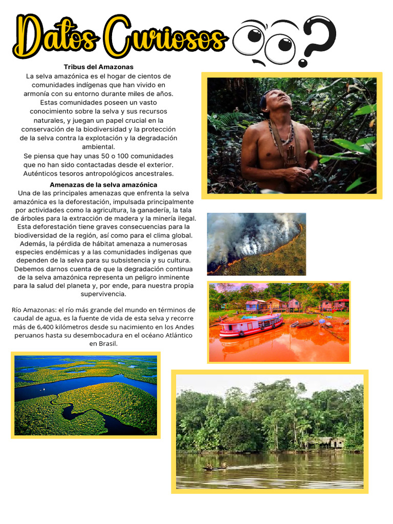 Actividades y etnias de la selva amazónica | PDF