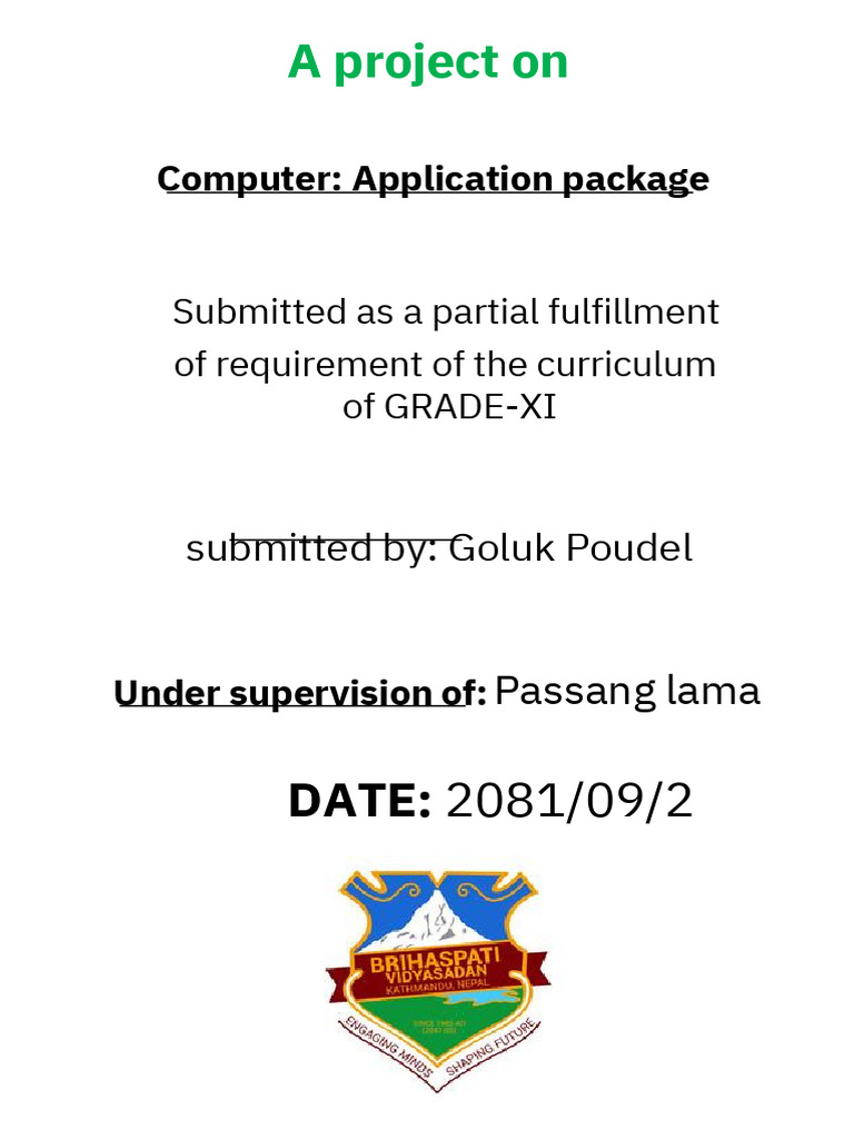 Grade XI Computer Project Submission | PDF