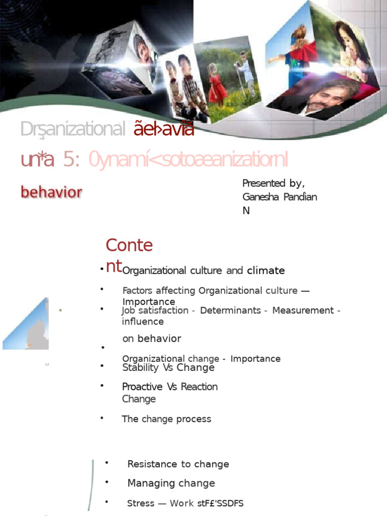 Understanding Organizational Culture and Change | PDF