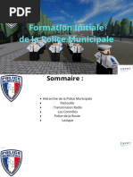 Codes Radio LSPD pour GTA RP | PDF