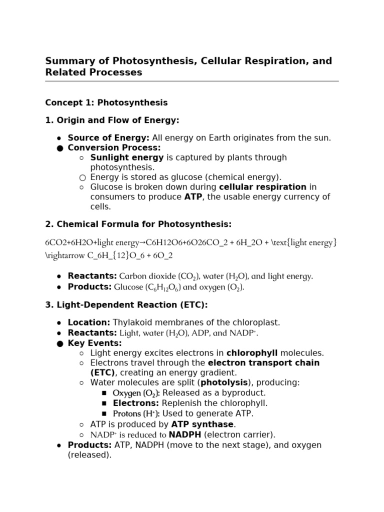 finals study guide (2) | PDF | Cellular Respiration | Adenosine ...