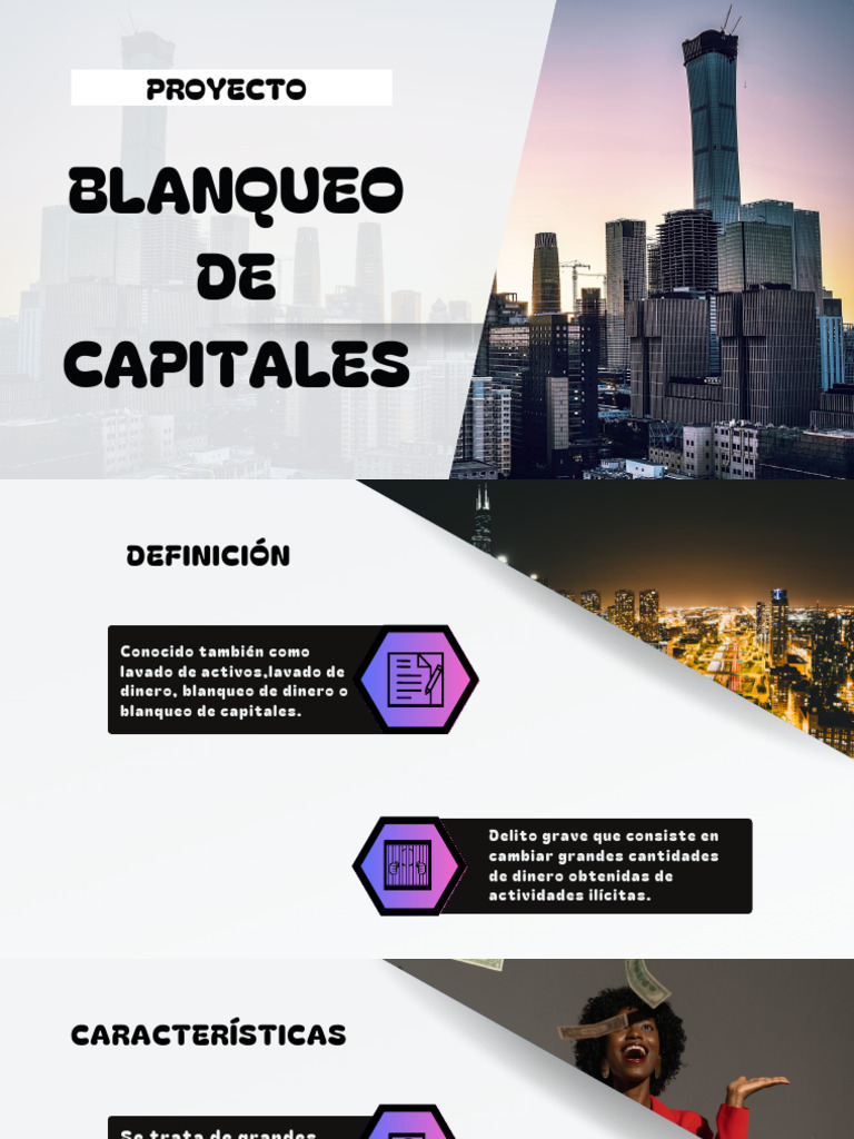 PROYECTO FINAL DIR BLANQUEO DE CAPITALES_20240529_174226_0000 | PDF ...
