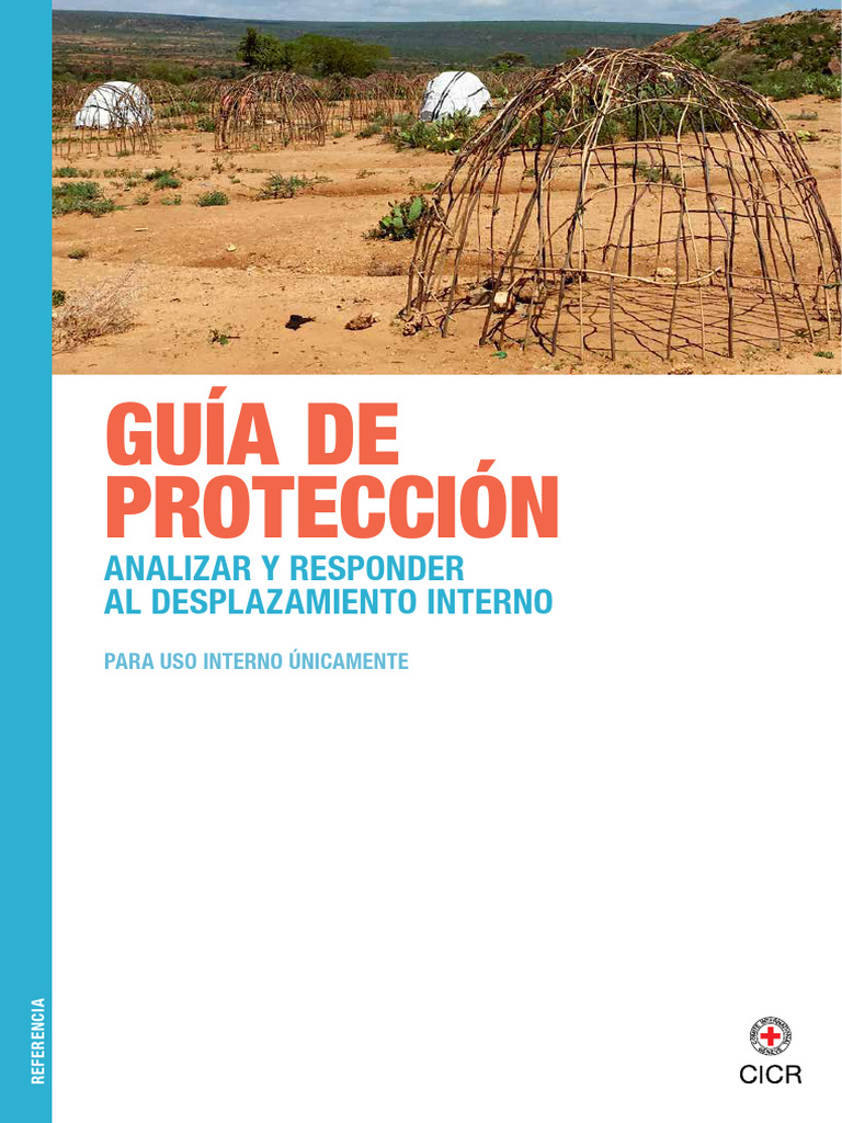 Guía de Protección para Desplazamiento Interno | PDF | Ley humanitaria ...