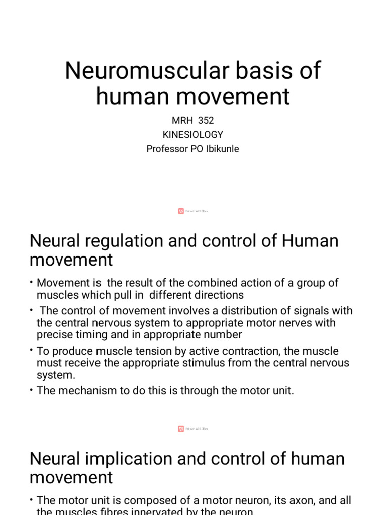 Neural Control of Human Movement | PDF | Nervous System | Motor Neuron
