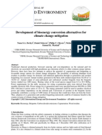 Nergy and Nvironment: Development of Bioenergy Conversion Alternatives For Climate Change Mitigation