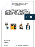 prcticas-de-laboratorio-1222982153545218-8