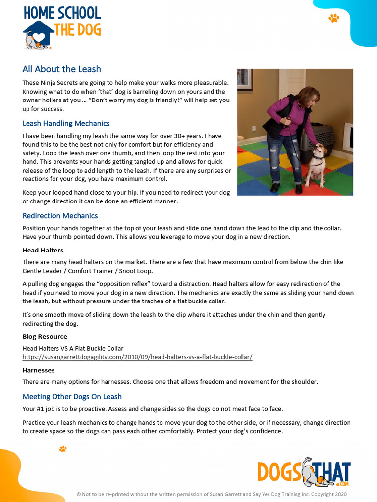 Effective Leash Walking Techniques | PDF | Dogs