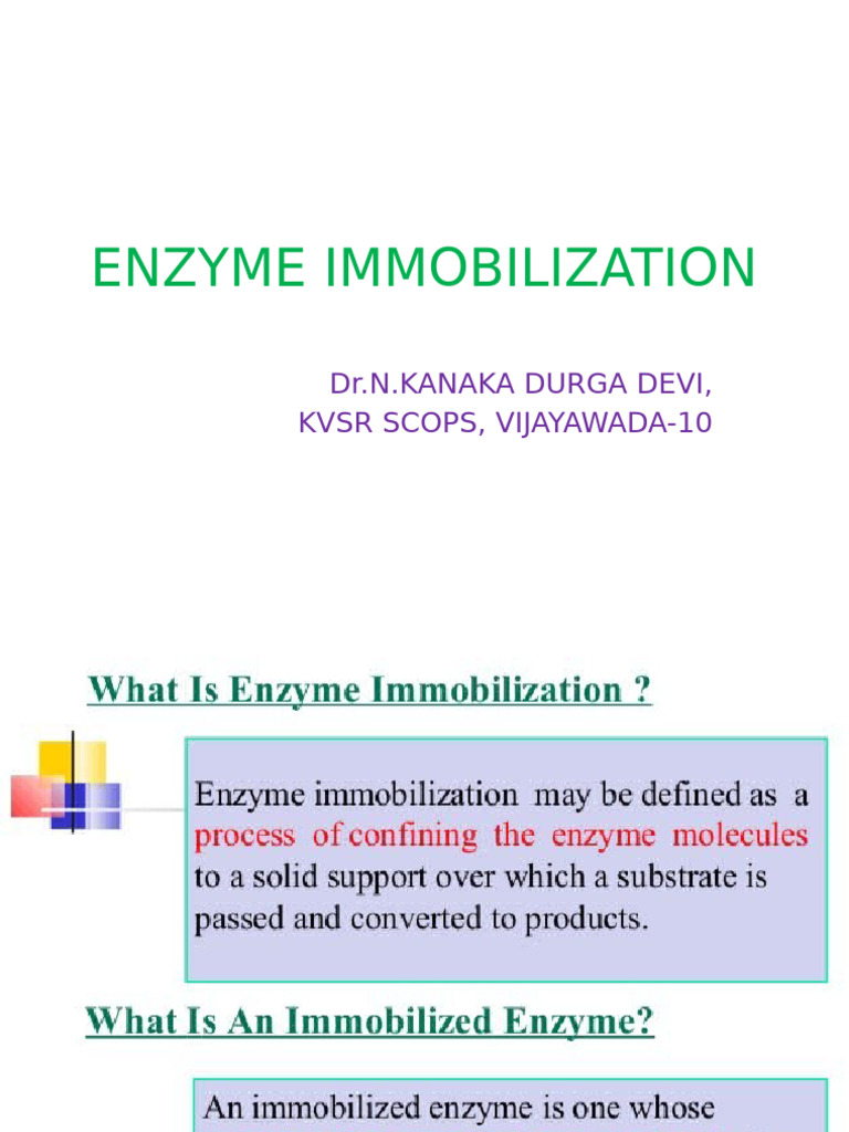 B. Enzyme Immobilization | PDF