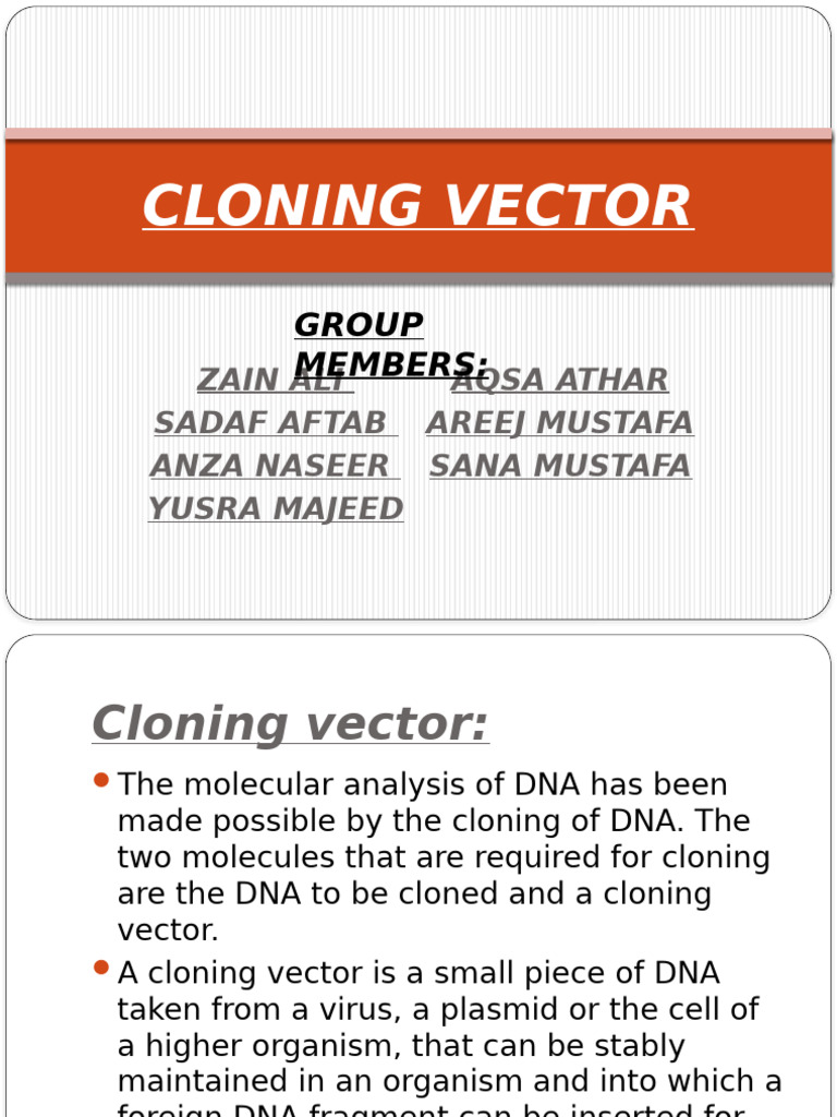 Overview of Cloning Vectors in Biotechnology | PDF | Plasmid ...