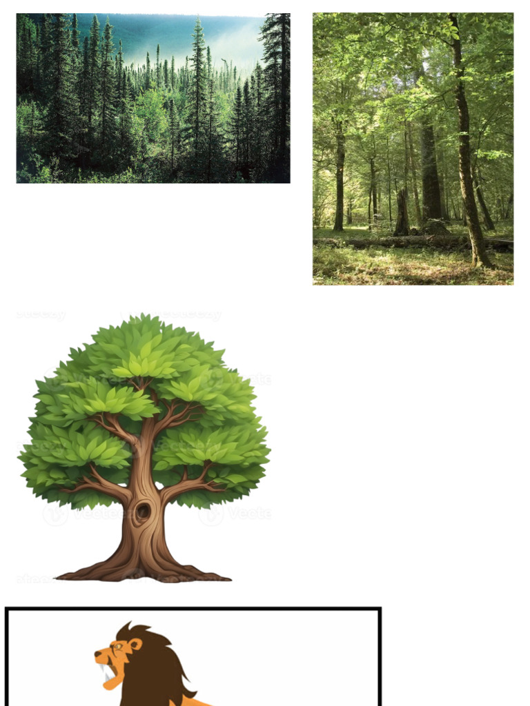 Geo Project Images | PDF