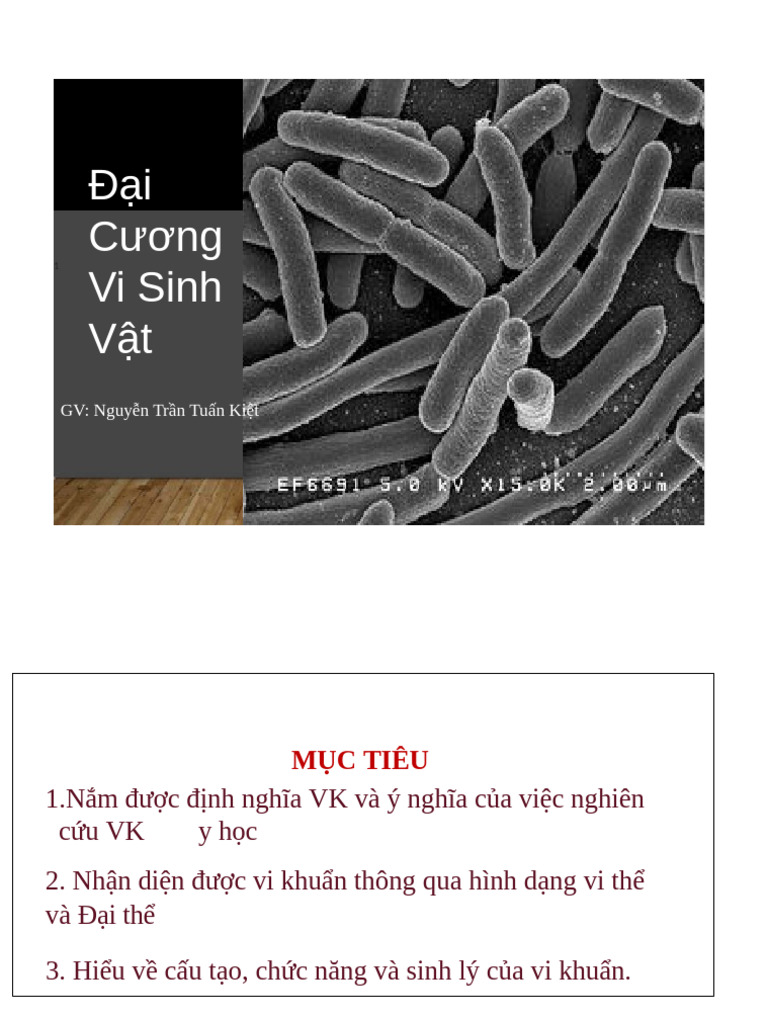 BÀI 2. Đại Cương Về Vi Sinh Học | PDF
