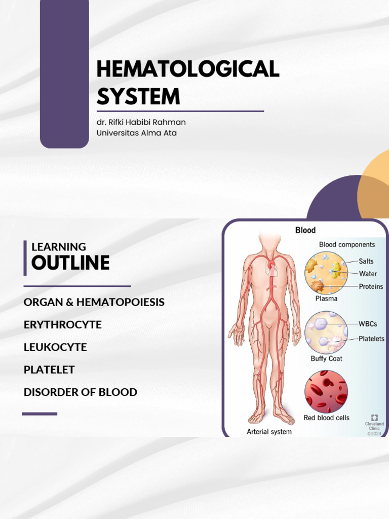 Hematology System - Rifki Habibi 2024 | PDF | Haematopoiesis | Red ...