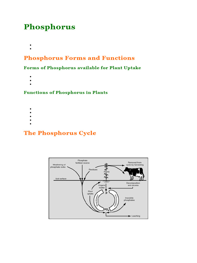 Phosphorus Cycle | PDF | Soil | Phosphate