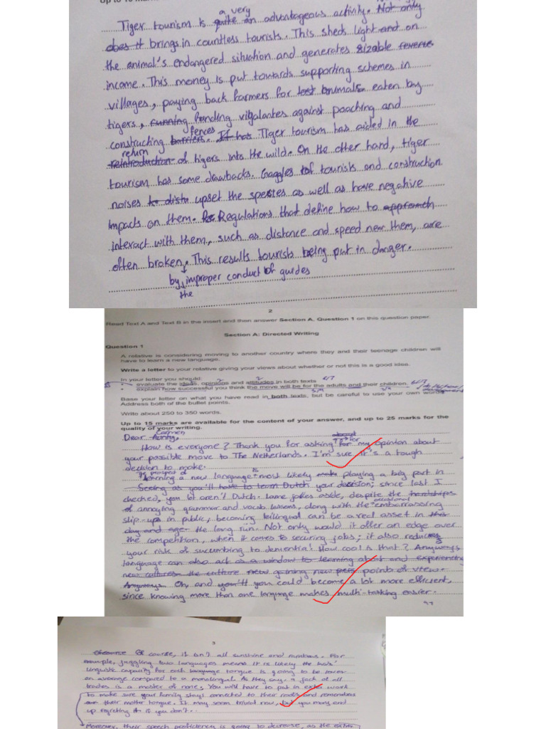 Impact of Learning Languages on Pre-Teens | PDF