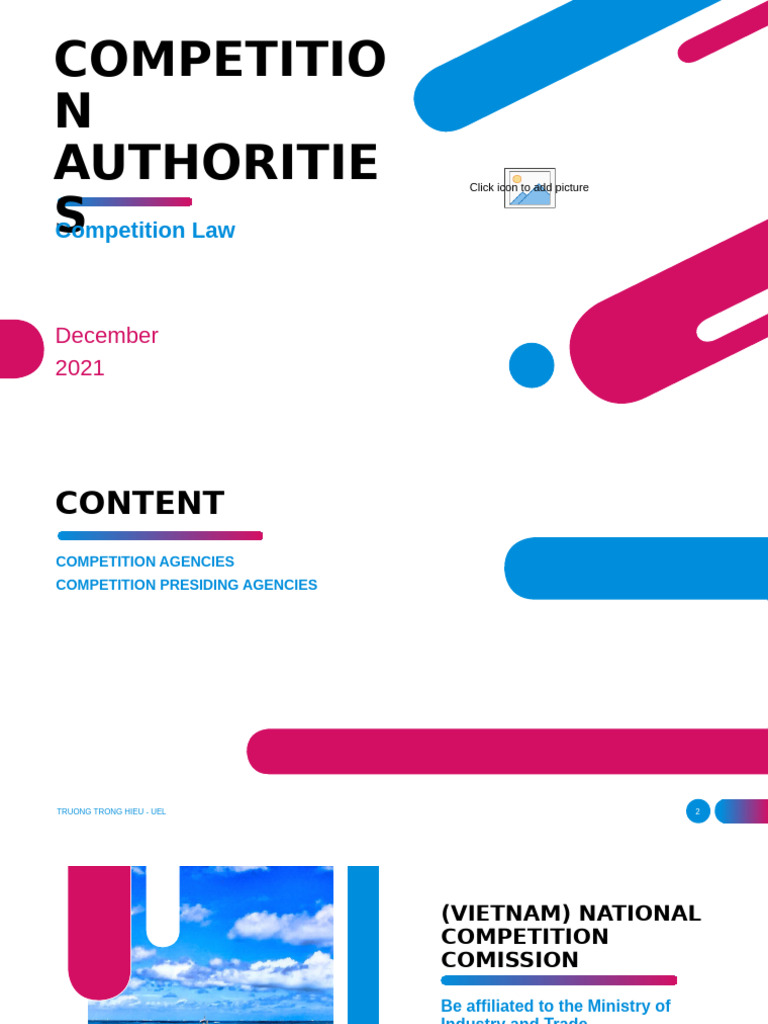 5 Competition Authority | PDF | Expert Witness | Public Law