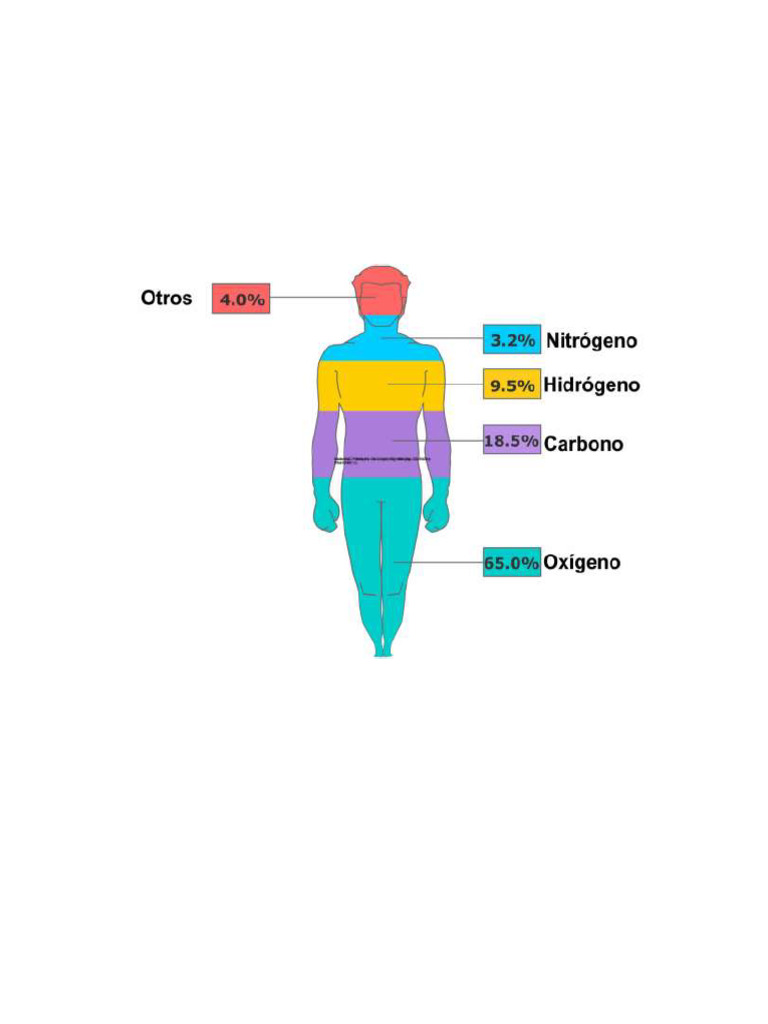 Que Son Los Bioelementos | PDF | Compuestos orgánicos | Calcio
