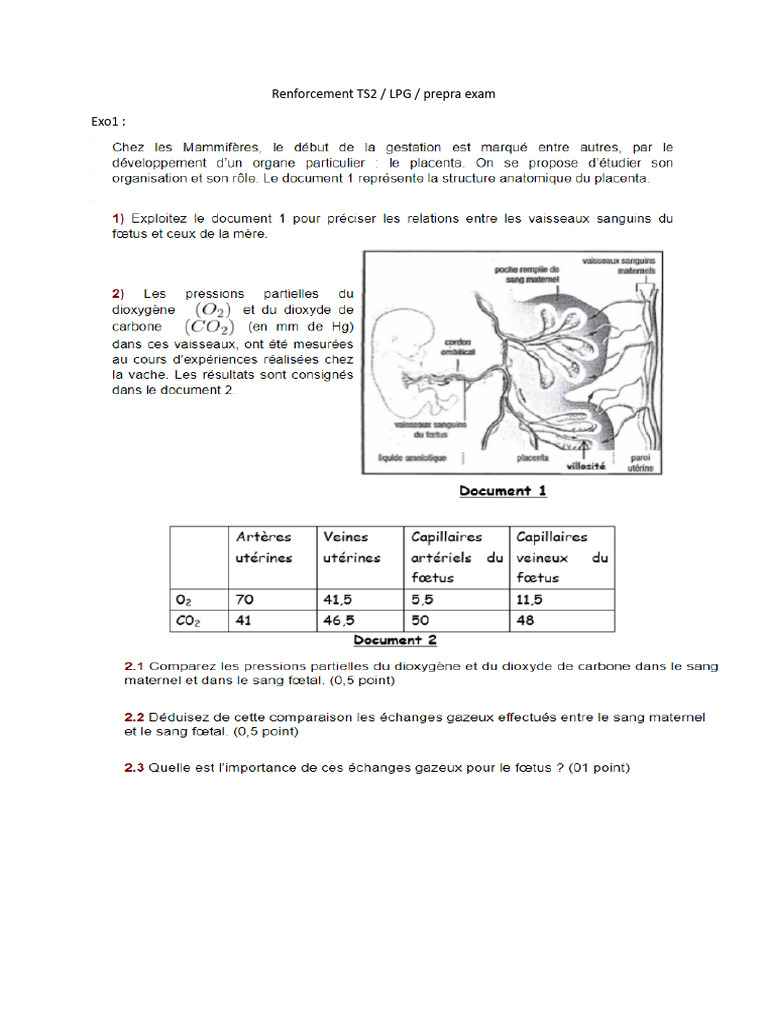 PROCREATION | PDF