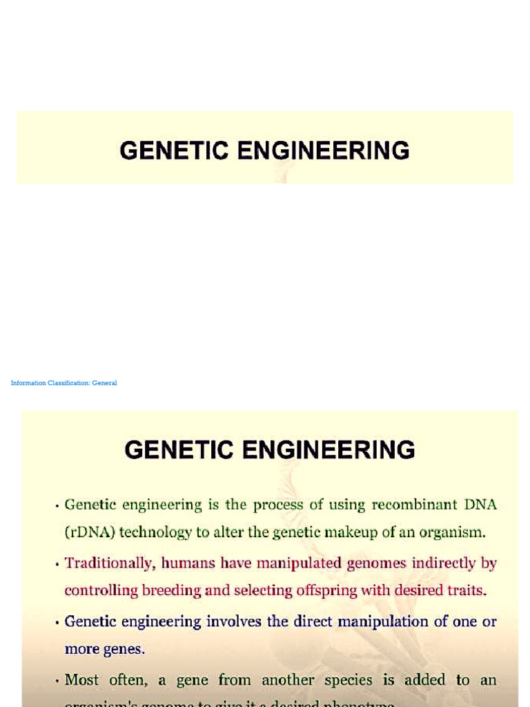 General Information Classification Guide | PDF