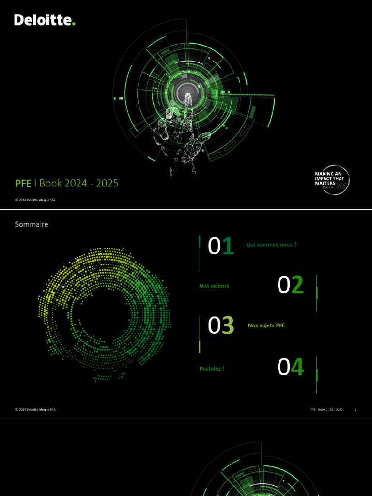 Opportunités de PFE chez Deloitte 2024-2025 | PDF | Audit | Business