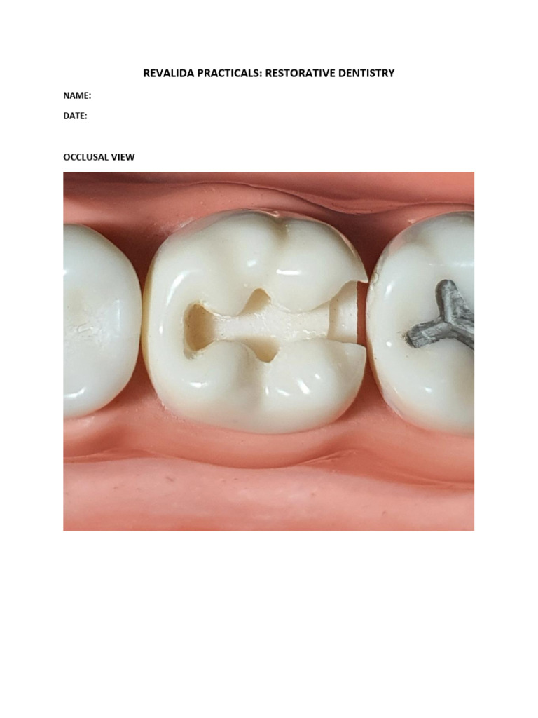RESTO Sample Photographs | PDF