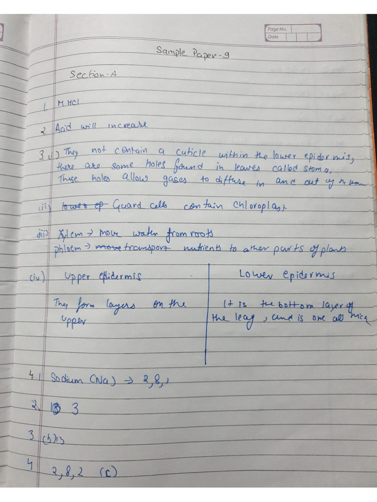 Sample Paper 9 | PDF