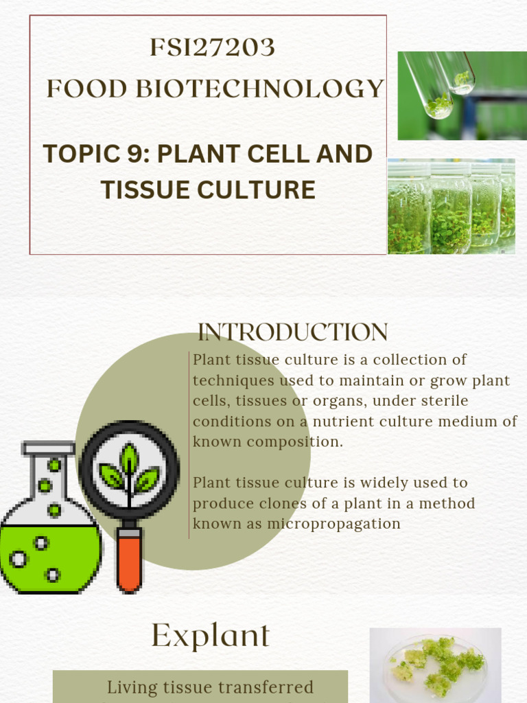 Plant Tissue Culture Techniques Overview | PDF | Biological ...