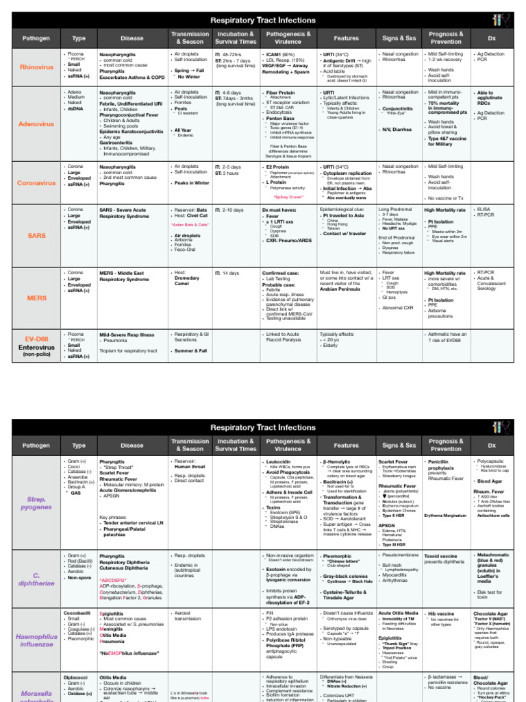 Respiratory Tract Infections Overview | PDF | Common Cold | Medical ...