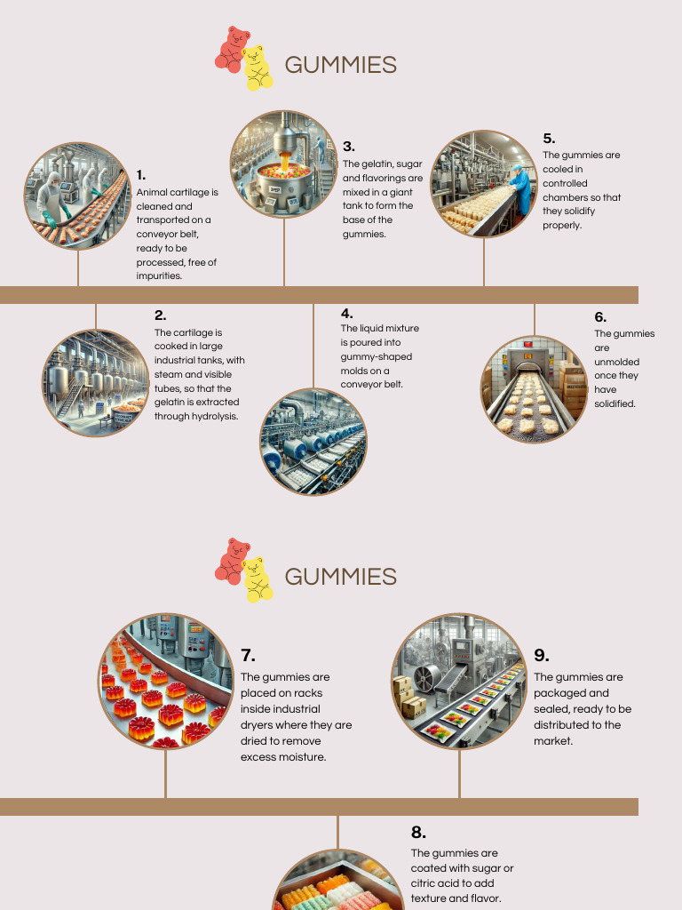 Gummy Production Process Explained | PDF