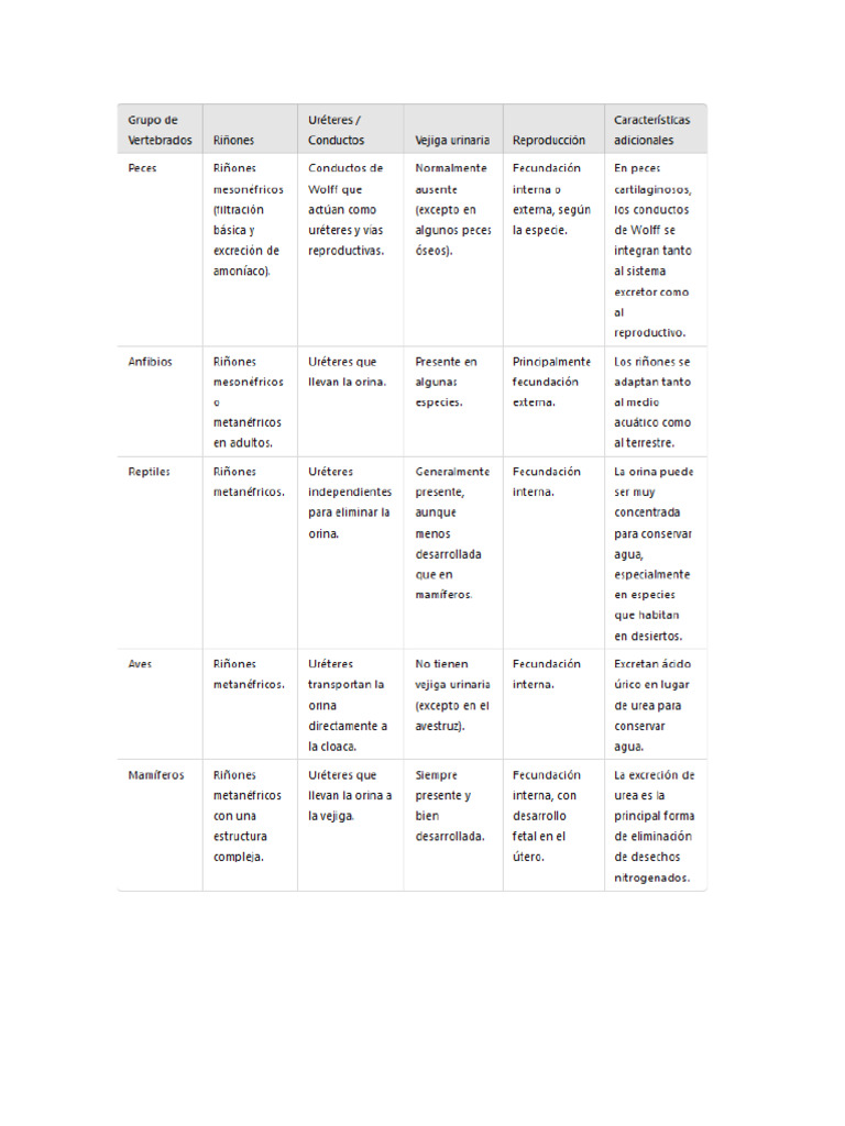 Tabla Comparativa | PDF