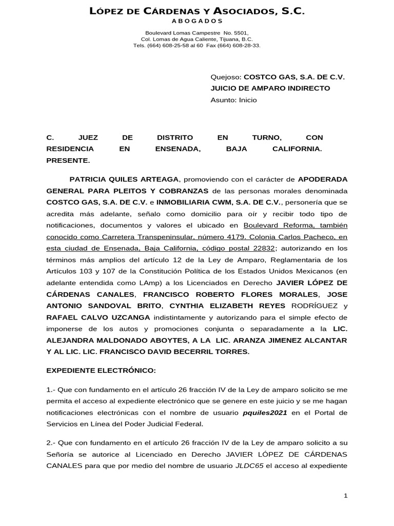Demanda de Amparo | PDF | Caso de ley | Estación de servicio