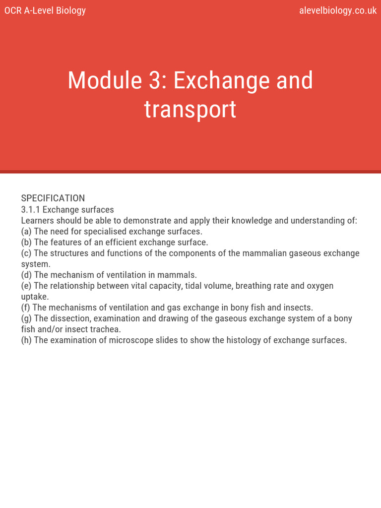 Module 3 Exchange and Transport | PDF | Heart Valve | Heart