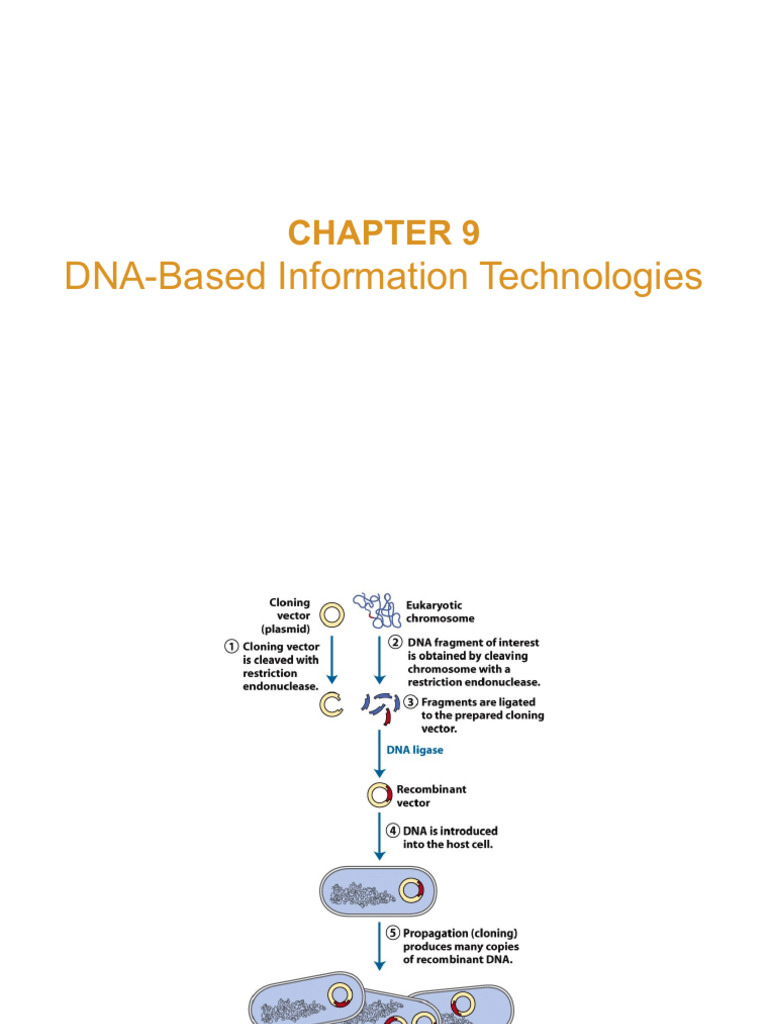 CH 9 10 11 | PDF