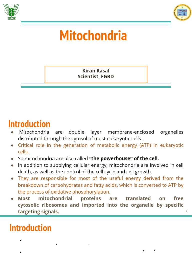 Mitochondria_KDR | PDF | Protein Targeting | Mitochondrion