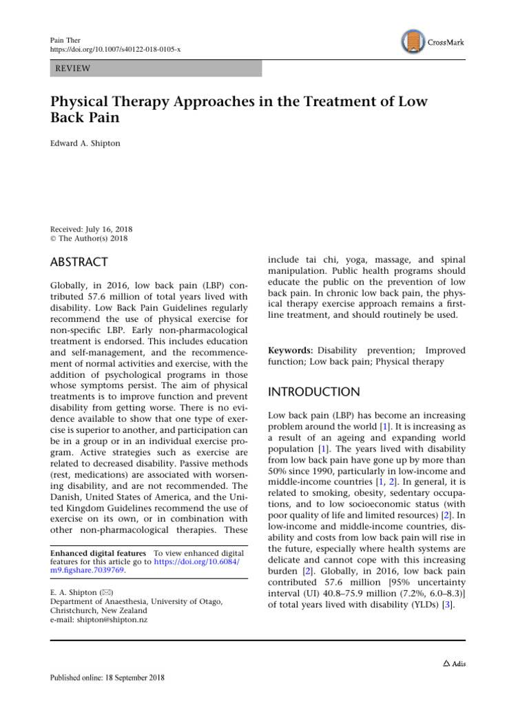 Physical Therapy Approaches in The Treatment of Lo | PDF | Low Back ...