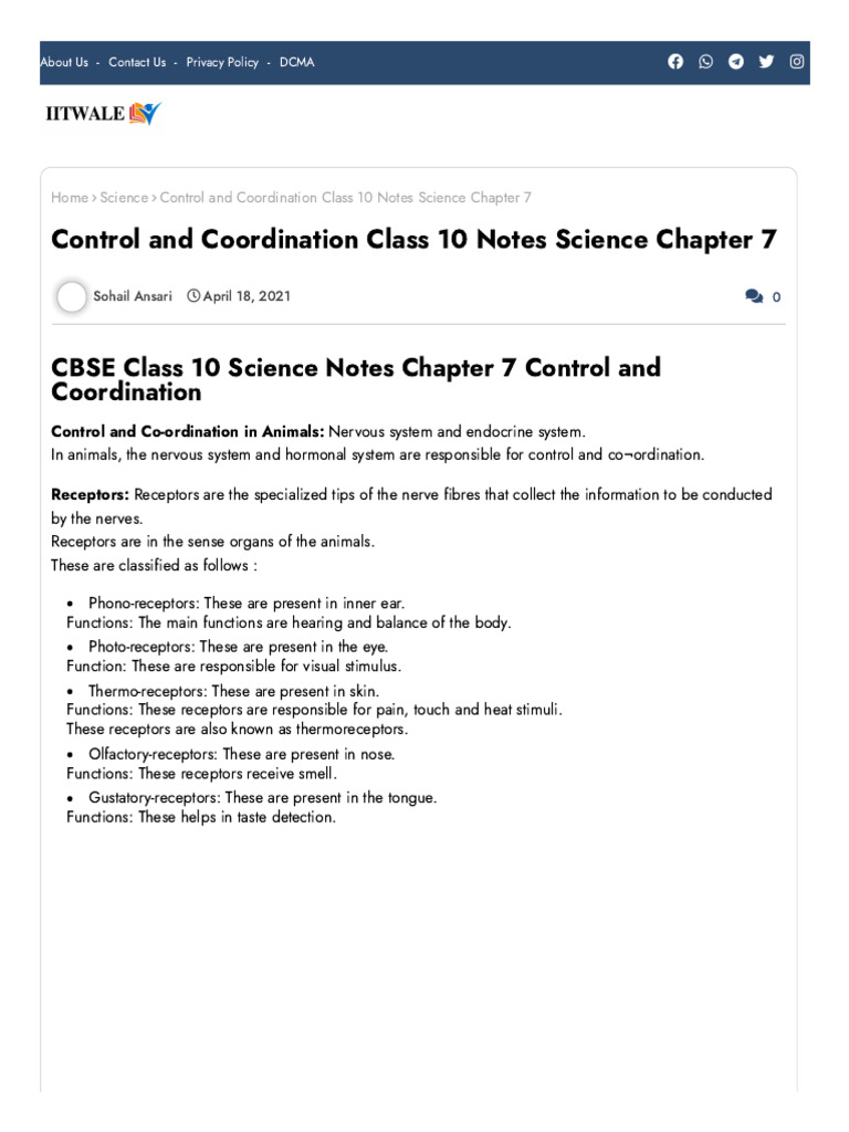 Class 10 Control and Coordination Notes | PDF | Neuron | Nervous System