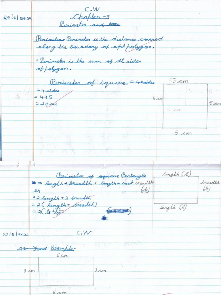 Perimeter and Area | PDF