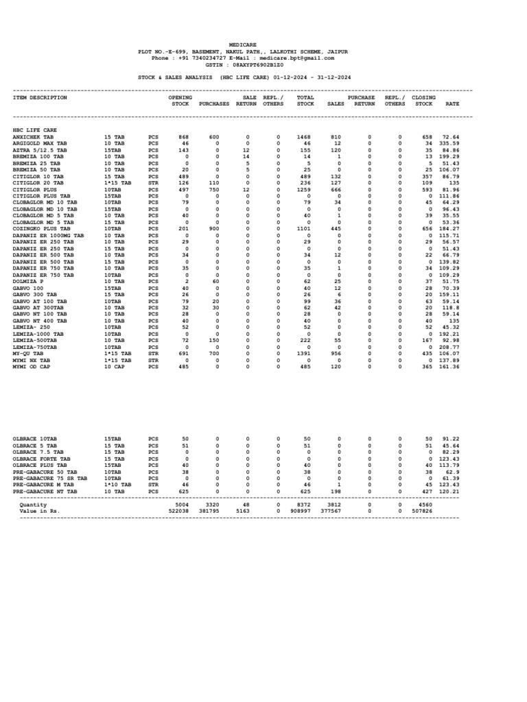Stock and Sales Report: December 2024 | PDF