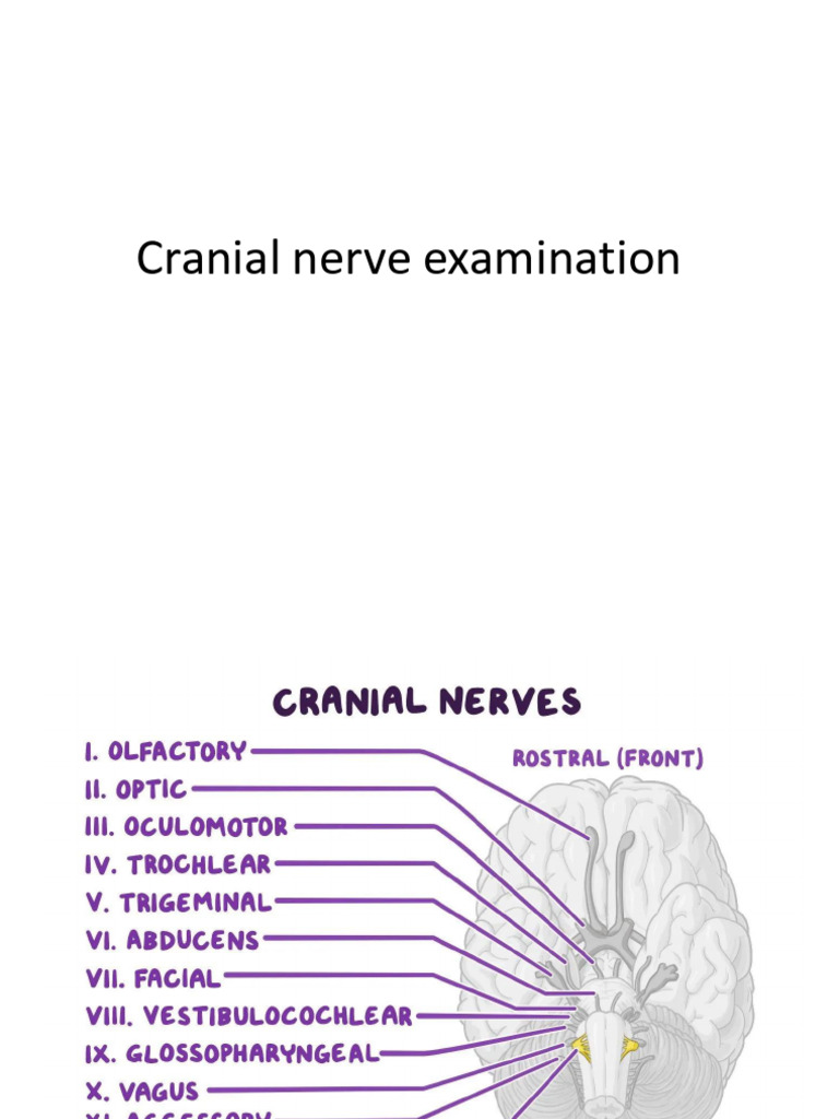 Comprehensive Cranial Nerve Examination Guide | PDF | Facial Features ...