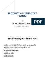 2nd Lec of Respiratory Histology by DR Roomi