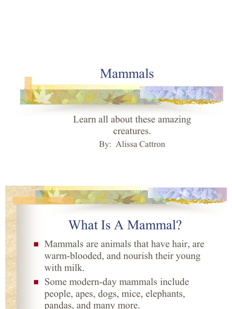 Mammals: Learn All About These Amazing Creatures | PDF | Mammals ...