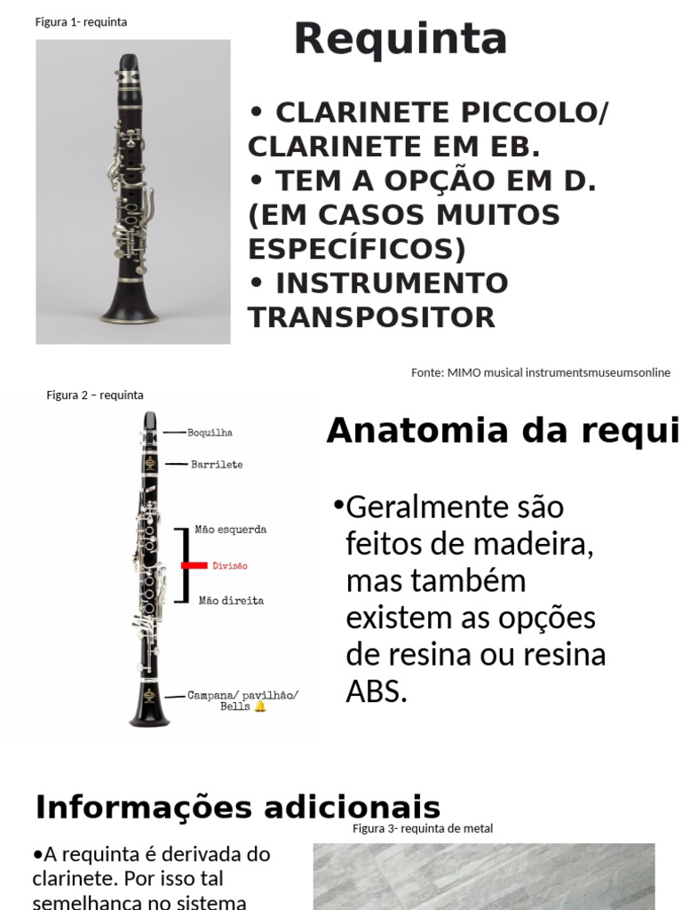 Guia Completo sobre Clarinete e Requinta | PDF | Clarinete | Aerofones