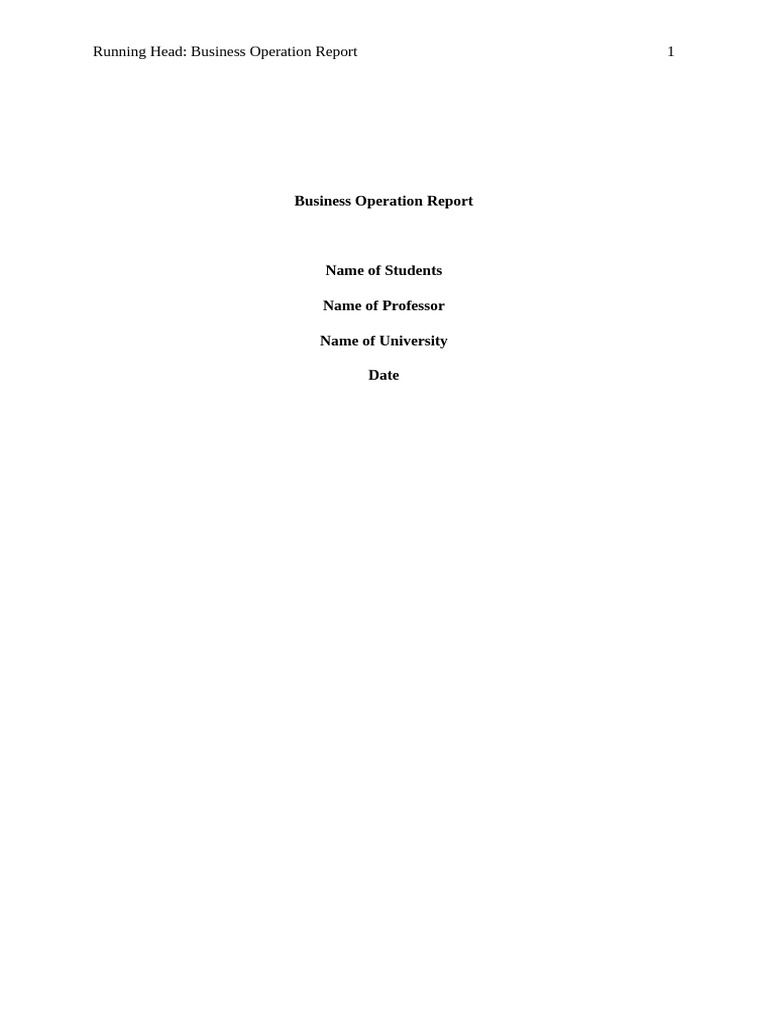 SunCharge Mobile Operations Report | PDF | Software Development Process ...