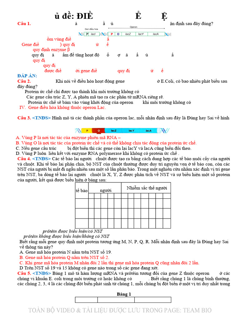 20.Chuyên đề 2 | PDF