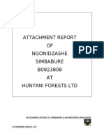 Attachment Report OF Ngonidzashe Simbabure B0923808 AT Hunyani Forests LTD