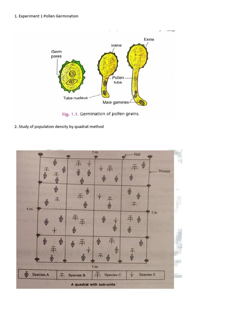 12 biology note image | PDF